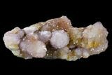 Cactus Quartz (Amethyst) Crystal Cluster - South Africa #132525-2